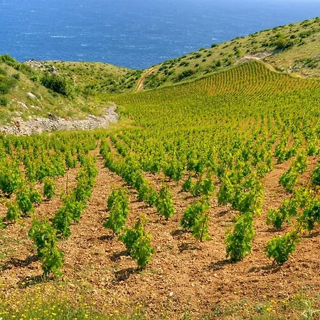 Hvar *